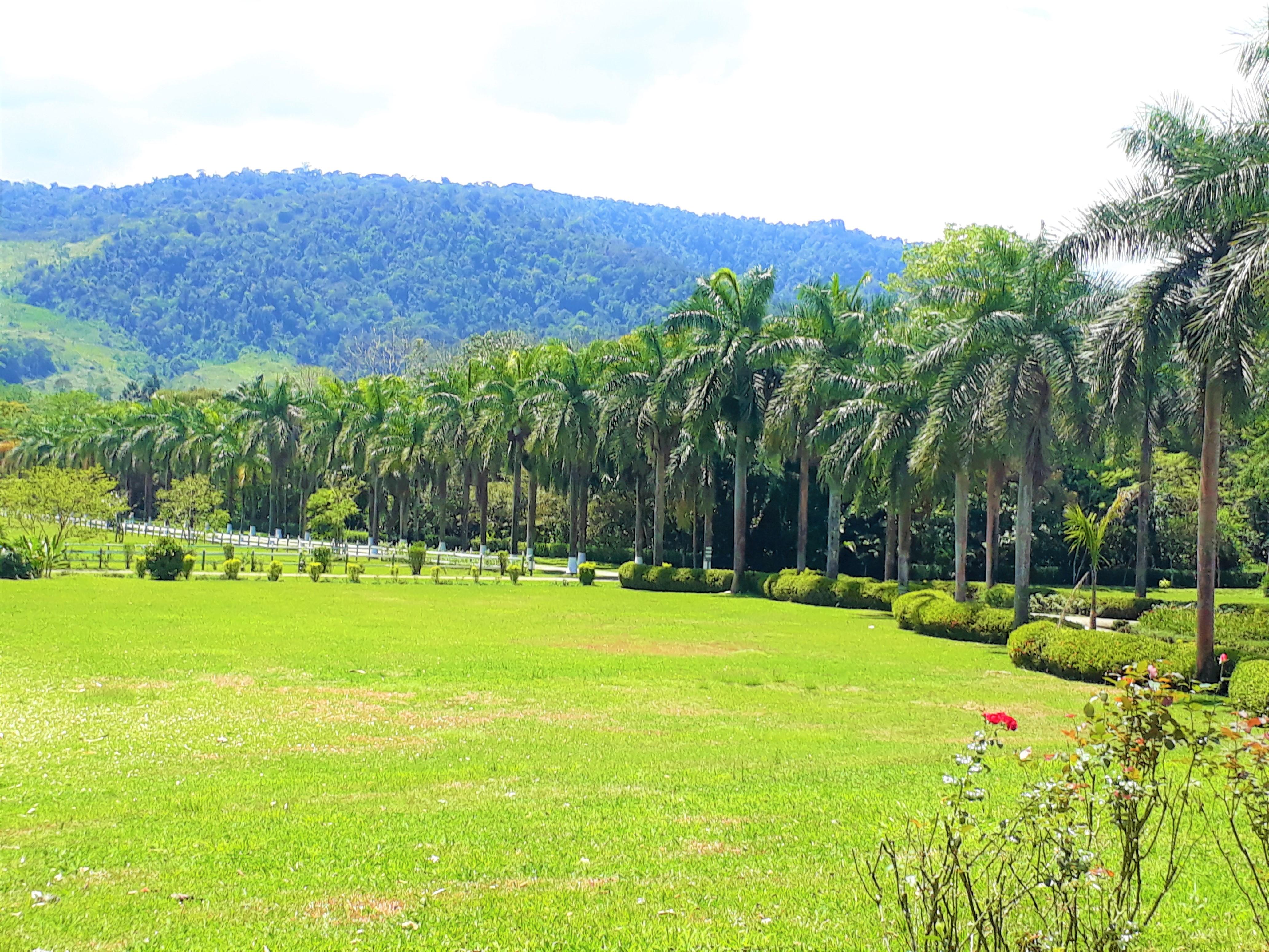 Hotel Casa Turire Turrialba Exteriör bild